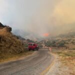 Strong winds complicate wildfire fight across western Türkiye