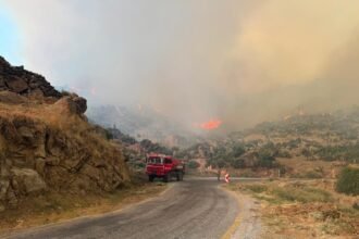 Strong winds complicate wildfire fight across western Türkiye