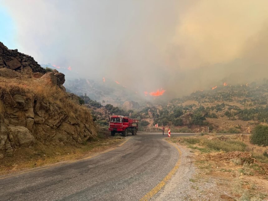 Strong winds complicate wildfire fight across western Türkiye