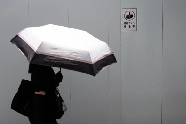 New intelligence body meets in 'spy paradise' Japan