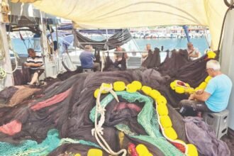 Turkish fishermen eye record bonita season