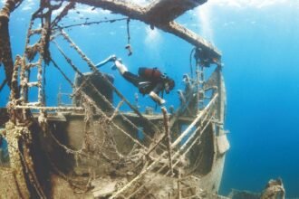 Çeşme eyes dive tourism with rich marine life