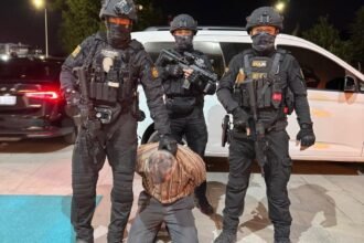 Suspect in 2016 attempt to assassinate Erdoğan detained