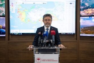 Most fires across Türkiye under control, minister says