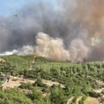 Most wildfire outbreaks under control as wind warnings persist