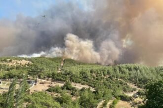 Most wildfire outbreaks under control as wind warnings persist
