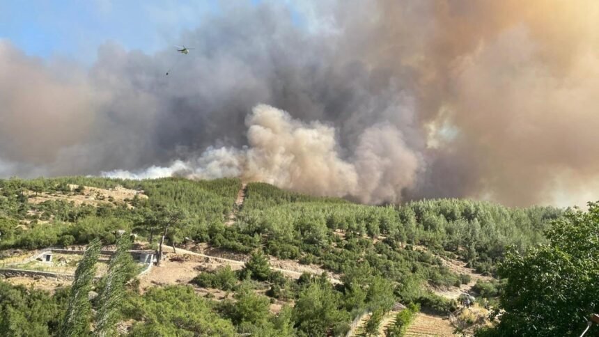 Most wildfire outbreaks under control as wind warnings persist